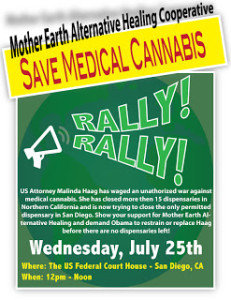 Rally Flier3