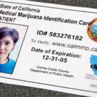 Why You Need a State Issued ID Card