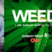 CNN Whistleblower Apologizes for Misleading the Public About Cannabis