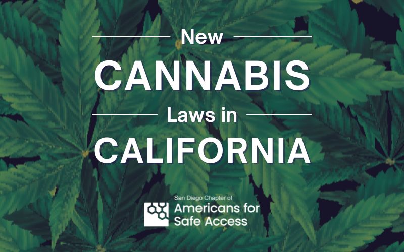 Large realistic cannabis leaves with text overlaid stating New Cannabis Laws in California with the San Diego Americans for Safe Access logo underneath